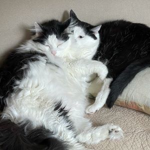 Meet your Posher, Debbye